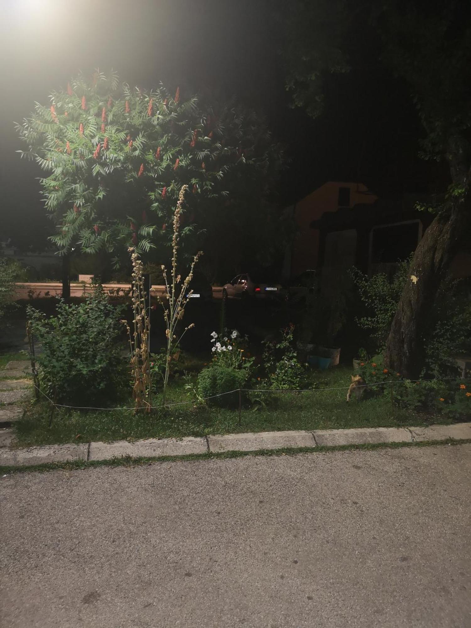Ferienwohnung Apartman Sunny Cetinje Exterior foto